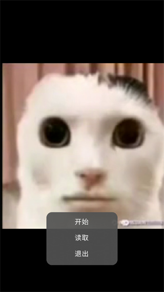 猫猫惊魂3