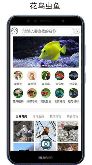 万物识别app3